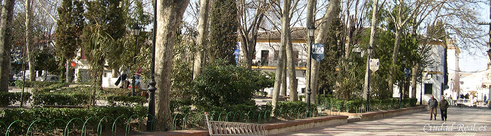 Argamasilla de Alba (Ciudad Real)