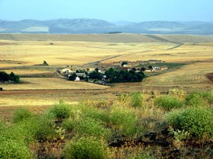 Ciruela se asientan sobre una modesta altura dominando el valle del Jabalón