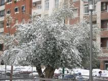Ciudad%20Real%20Nevada%2029-01-06%20023.jpg