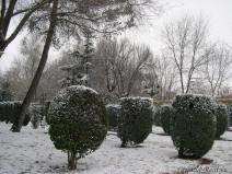 Ciudad%20Real%20Nevada%2029-01-06%20088.jpg