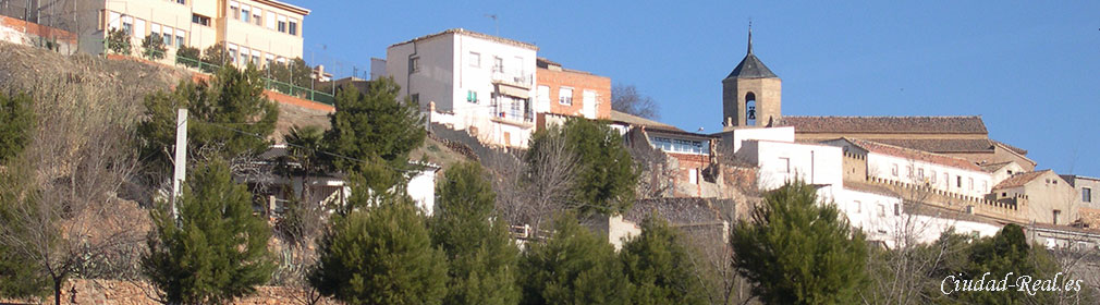 Almedina (Ciudad Real)